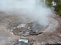 Yellowstone Norris Geyser (55).JPG